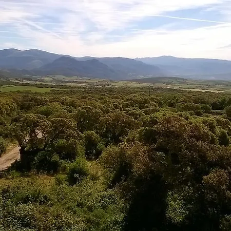 Mura Mura