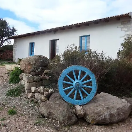Mura Mura Sedini